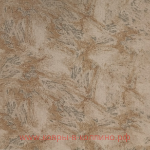 �������� ����� ���� (80_48)