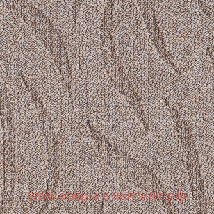 �������� SCROLL 01_010 5000000